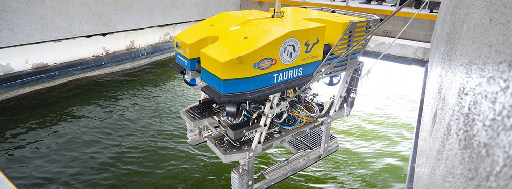 The ROV Taurus is a sophisticated, remotely operated vehicle that can reach ocean depths of up to 2.5 miles