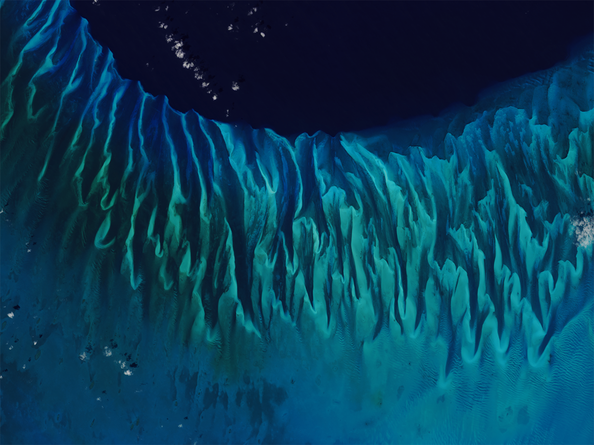 Sand waves captured on the Great Bahamas Bank. The turquoise waters indicate shallow waters. Photo Credit: OLI on the Landsat-8 satellite.