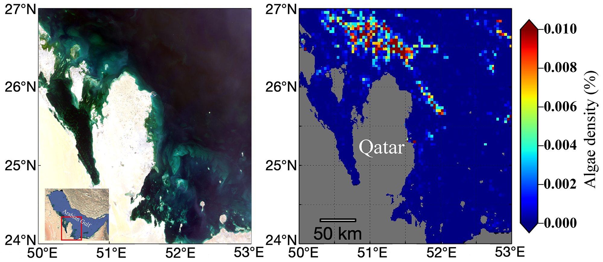 Cheng Xue, a postdoctoral scholar in the Optical Oceanography Lab at USF CMS, is the lead author on a recent article published in the IEEE Journal of Selected Topics in Applied Earth Observations and Remote Sensing. The figure above shows satellite images of Qatari coastal waters (left) and the floating algae scums of 2017 (right). Courtesy of Cheng Xue.