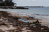 Seaweed and debris cover the beach looking south on Oct. 2, 2024, on Madeira Beach. [ DIRK SHADD | Times ]