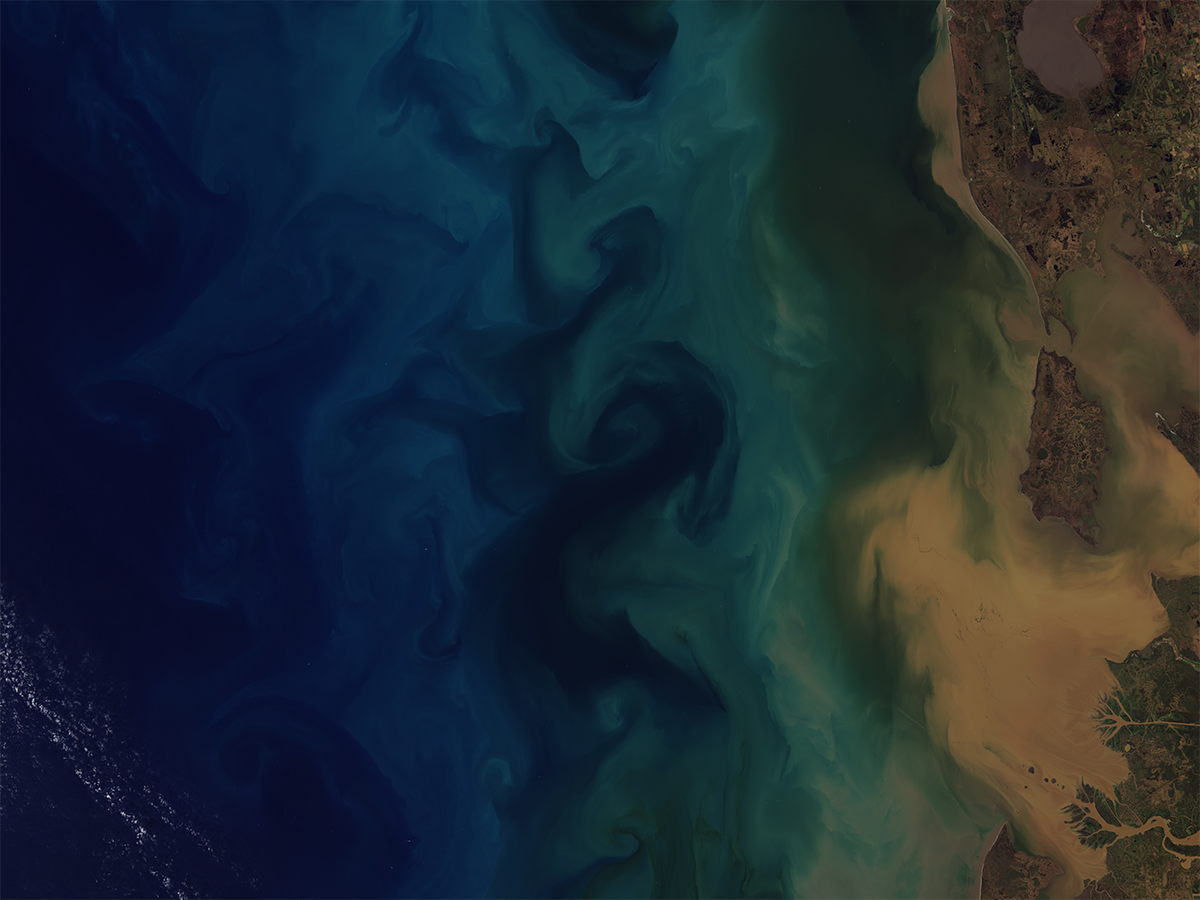 Sediment and algae blooms in the Gulf of Mexico off the coast of Mississippi. Photo Credit: OLI on the Landsat-8 satellite.