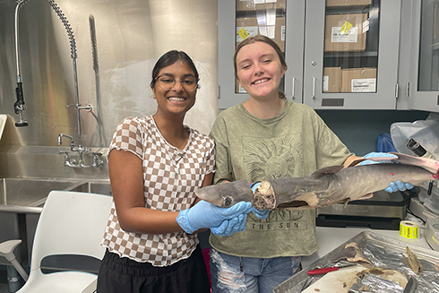 Campers had the opportunity to learn more about sharks in the sharky shenanigans lab.