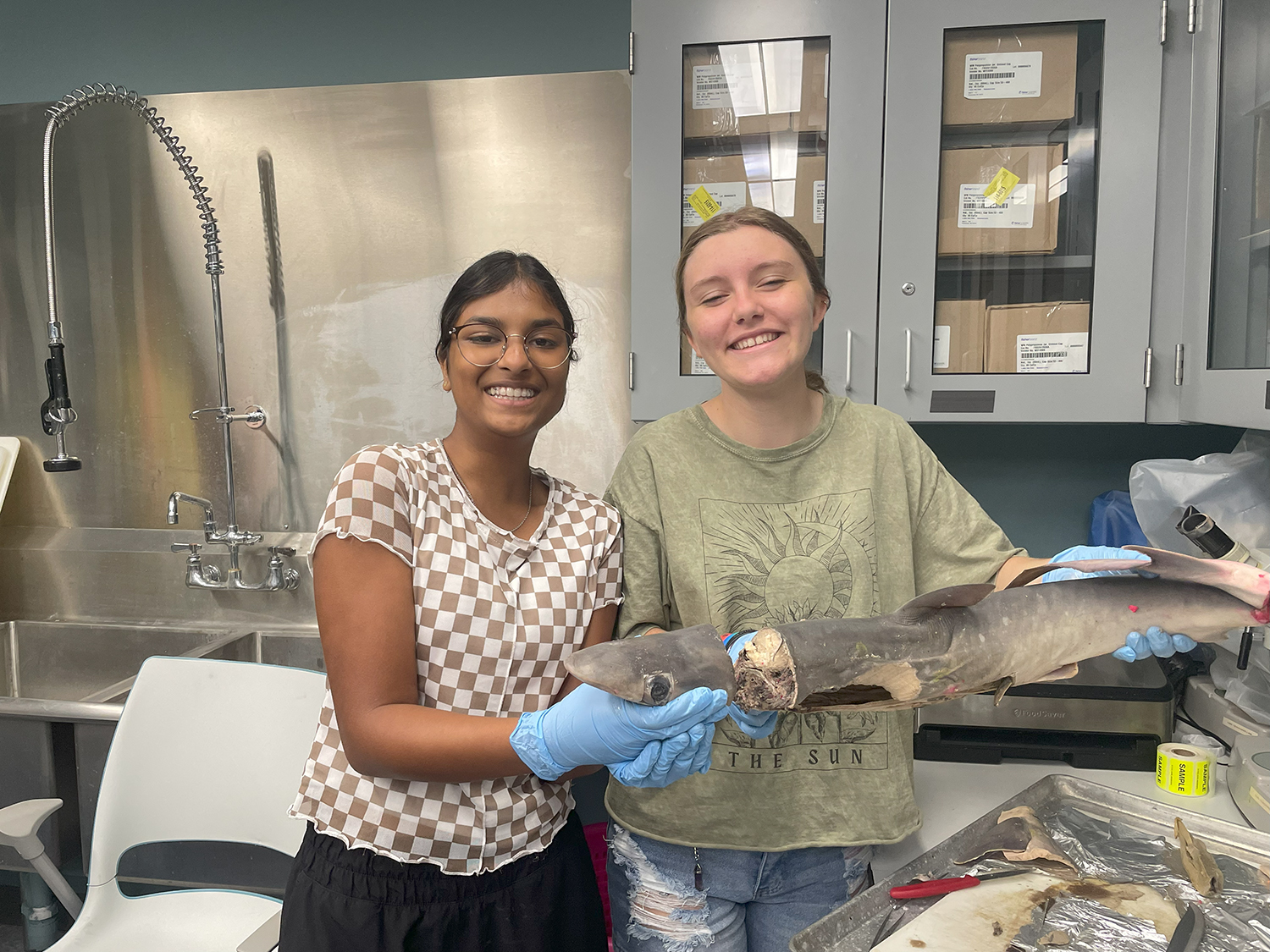 Campers had the opportunity to learn more about sharks in the sharky shenanigans lab.