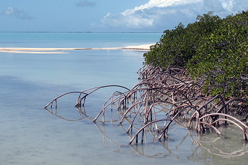 A pair of recent studies found that sea surface temperatures are rising rapidly in South Florida’s estuaries, including Florida Bay, pictured here. Credit: National Park Service