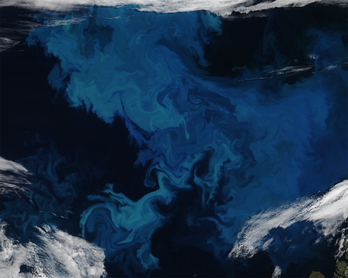 The milky blue swirl indicates a coccolithophore bloom in the Barents Sea, north of Norway and Russia. These blooms persist every summer. Photo Credit: VIIRS on the NOAA-20 satellite.