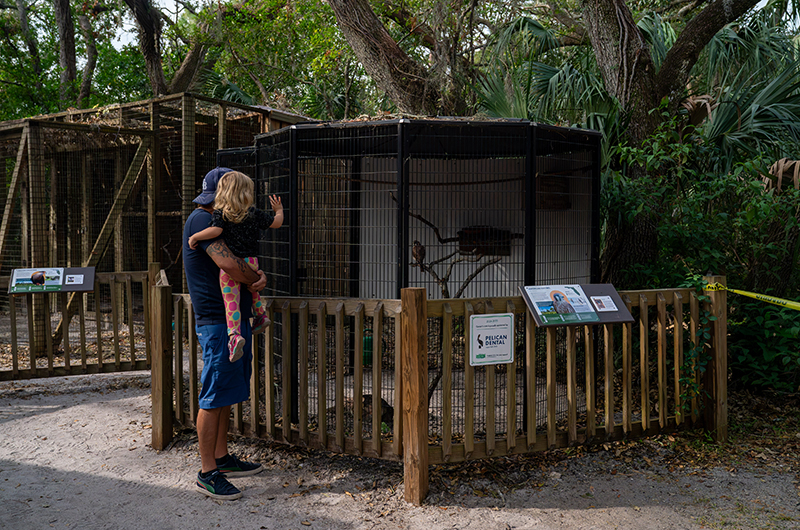 Vargo transformed the aviary into a center of learning, conservation, and community, serving as a haven for birds of prey. Photo credit: FOBH/Katie Bryden