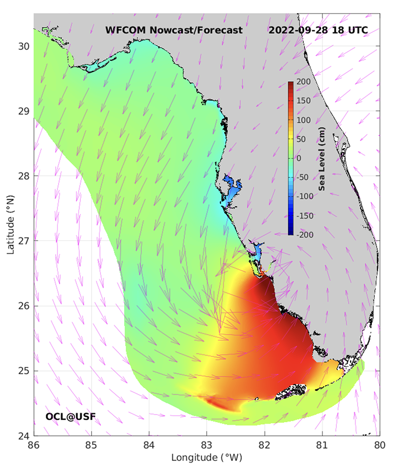 This static visualization of the West Florida Coastal Ocean Model shows dramatic changes in sea level along Florida’s southwest coast during Hurricane Ian in September 2022. Credit: Ocean Circulation Lab at the USF College of Marine Science.