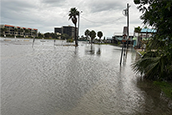 USF-developed app tracks coastal flooding during Hurricane Helene