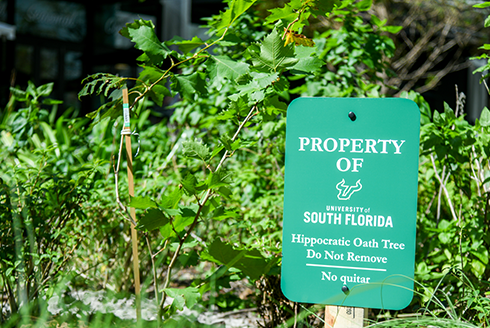 Tree with sign that says 