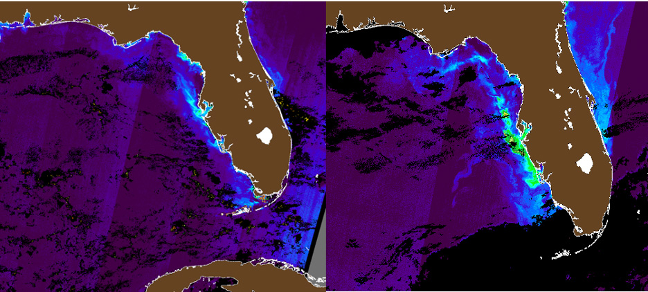 red tide before and after storms