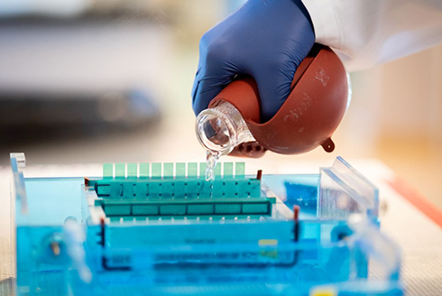 Researcher holds beaker