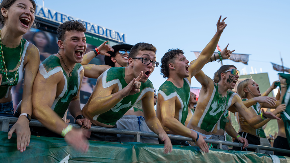 Students in the stands at a USF football game