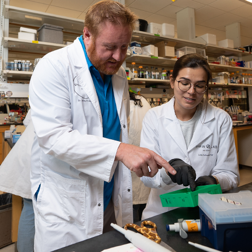 USF projects selected for new research program bring the potential to solve critical challenges