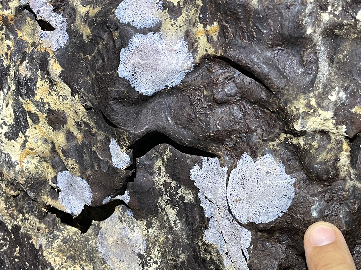 minerals on rock in tube