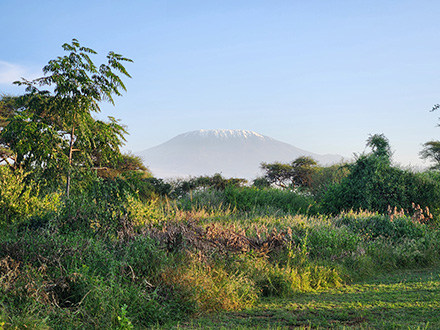view in kenya