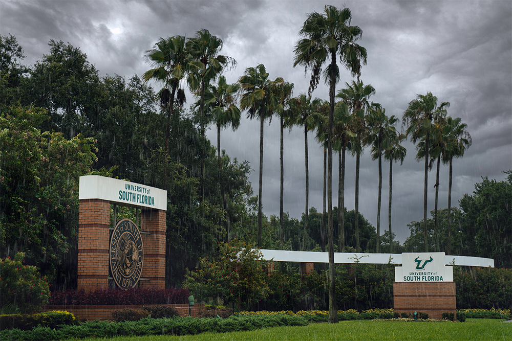 Gloomy entrance to USF campus