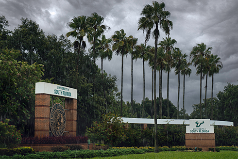 Gloomy entrance to USF campus