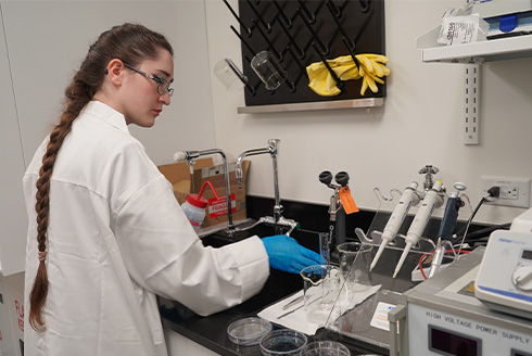 Student running experiments in lab to test dental implant's strength