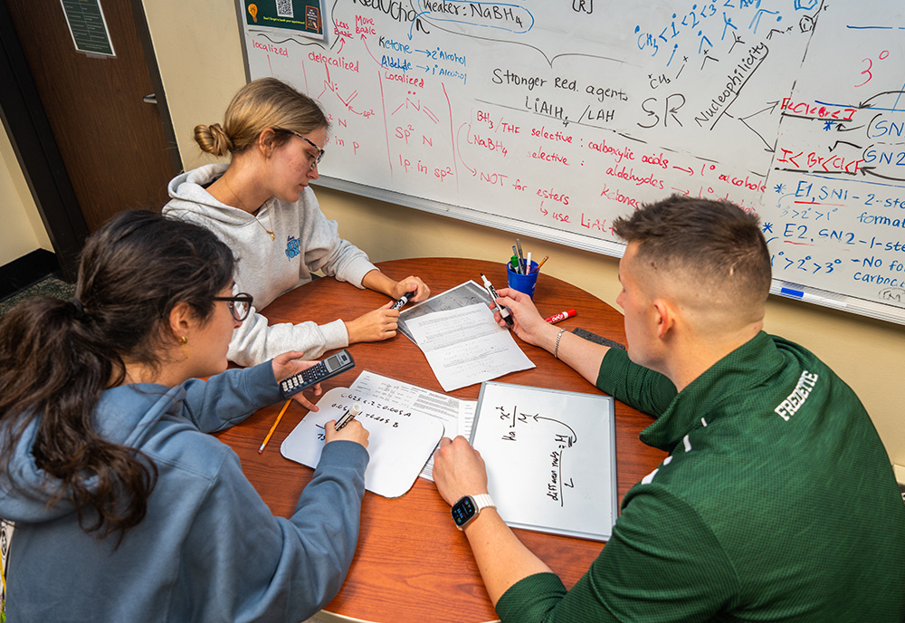 Three University of South Florida students study in the USF Academic Success Center