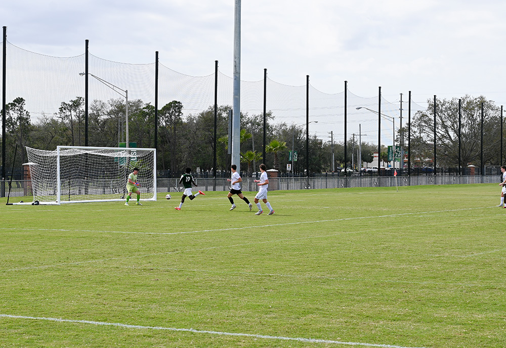 soccer fields