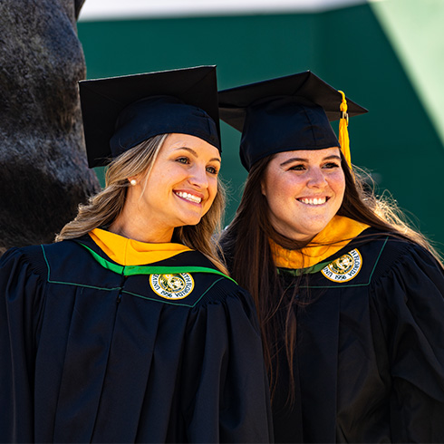 USF online graduate programs continue to rank among the nation’s best