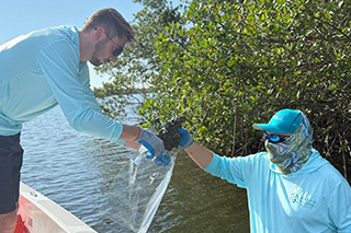 Two members of College of Marine Science look for pollutants