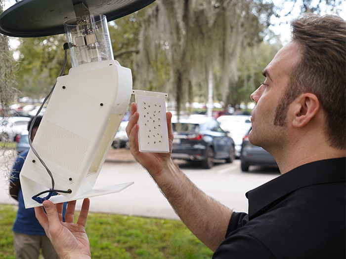 New AI-powered mosquito trap could help curb dengue outbreaks