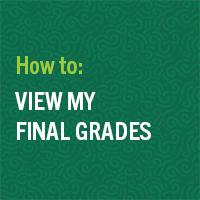 view my final grades