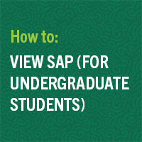 sap undergraduate students