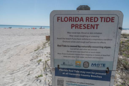 red tide warning sign