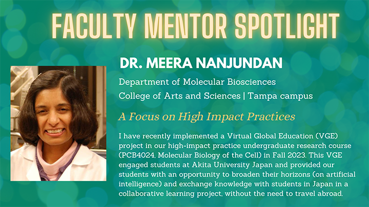 Dr. Meera Nanjundan