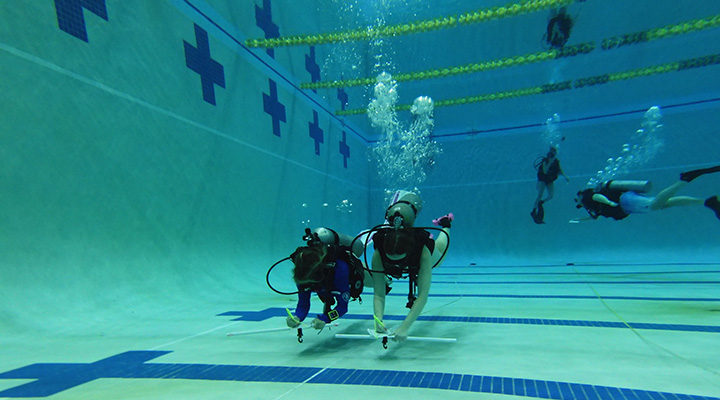 USF diving underwater