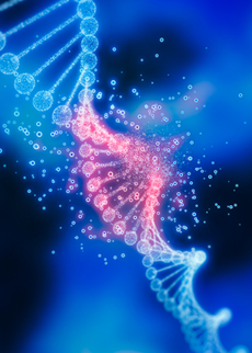 Gene therapy for normalizing repeat sequences in repeat expansion disorders