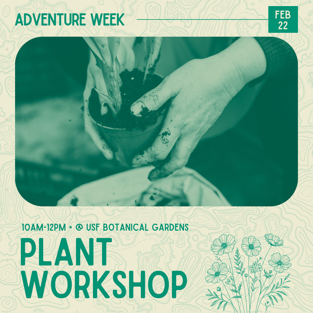 Plant Workshop