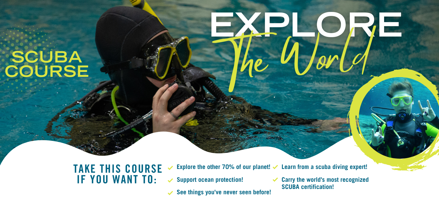 SCUBA Certification