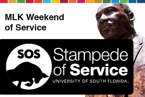 Stampede of Service