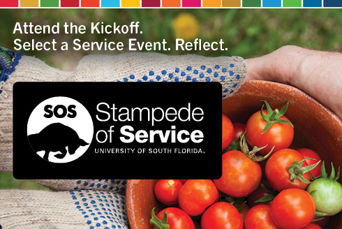 Stampede of Service