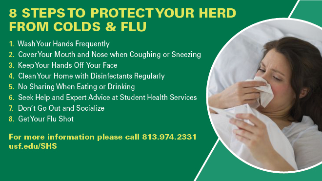 Steps to protecting your herd from cold & flu