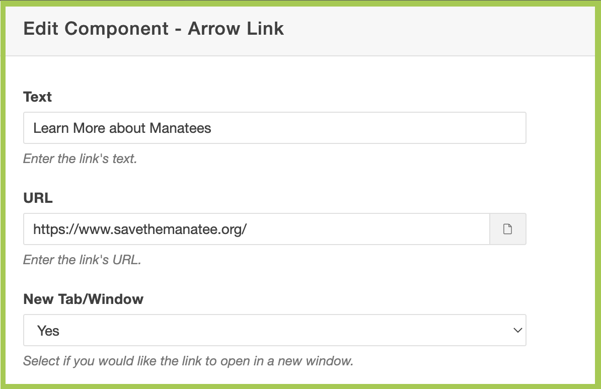 Screenshot of adding in Arrow Link information fields.