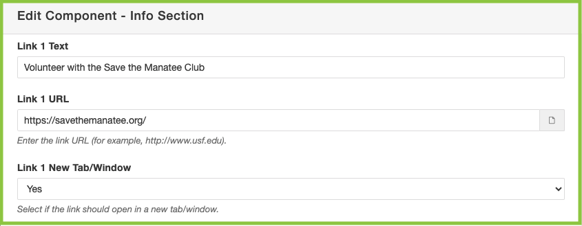 Screenshot of adding in Info Section information fields.