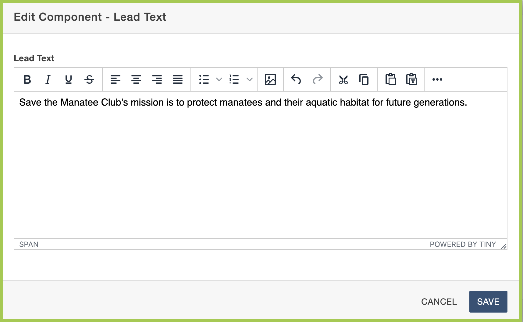 Screenshot of the Lead Text Component fields