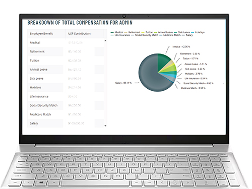 Laptop showing screenshot of total compensation calculations with pie chart.