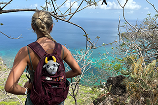 Student staring at the caribbean ocean on top of the mountain of union island