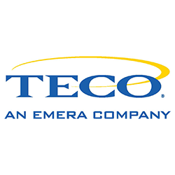 Teco Electric Company