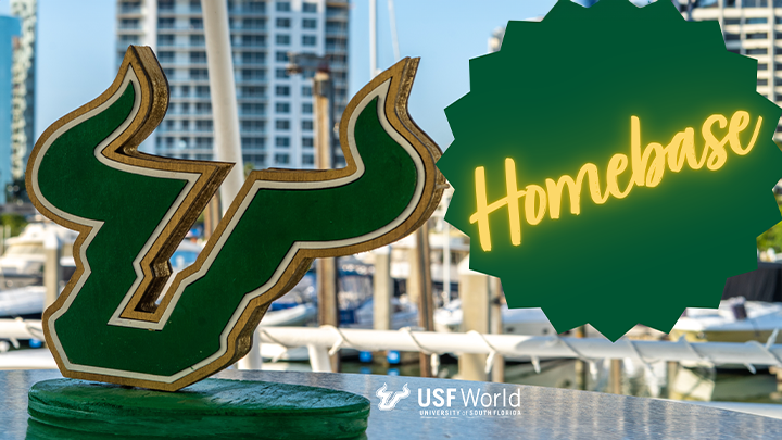 USF "Bull U" centerpiece on a table with a harbor scenece in the background instroducing Homebase in yellow script