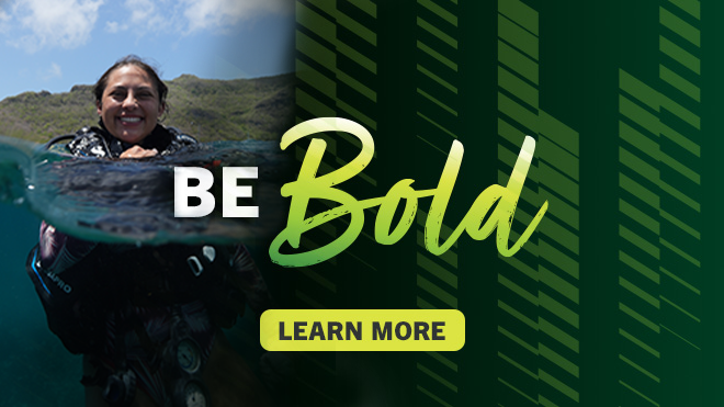 girl in scuba gear swimming half in water and half above with the text "be Bold" and "Learn More" at the center. Two thirds of the photo is taken up by a green background with lime green dashes overlaying.