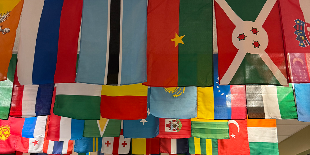 Flags of different countries hanging from ceiling