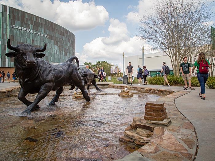 Bull statues at Marshall Student Center