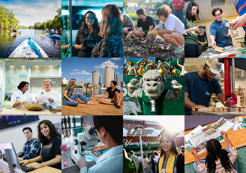 A vibrant collage depicting university life: kayaking, discussions, gardening, cooking, city skyline, mascot cheering, research, and celebrations.